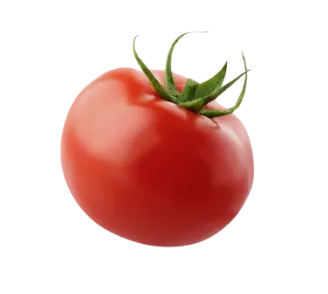 Tomate